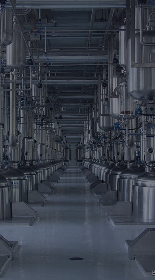 动物油熬炼设备